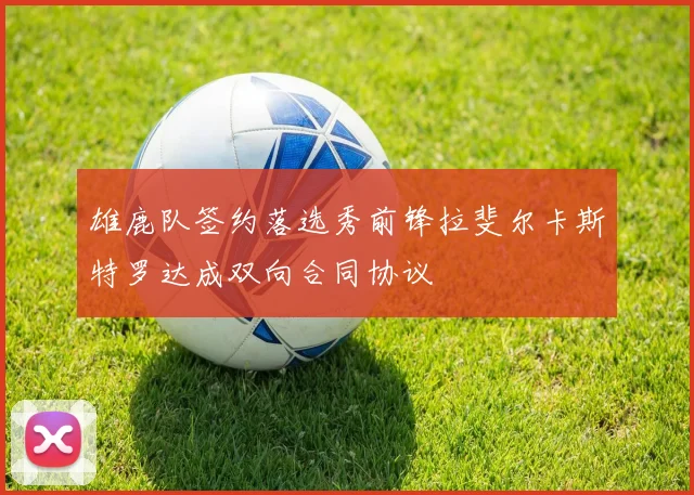雄鹿队签约落选秀前锋拉斐尔卡斯特罗达成双向合同协议