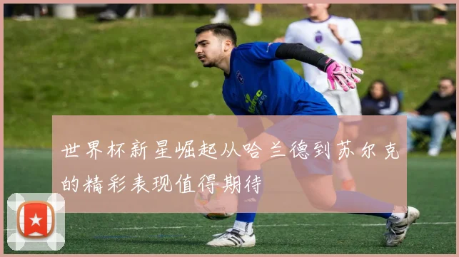 世界杯新星崛起从哈兰德到苏尔克的精彩表现值得期待