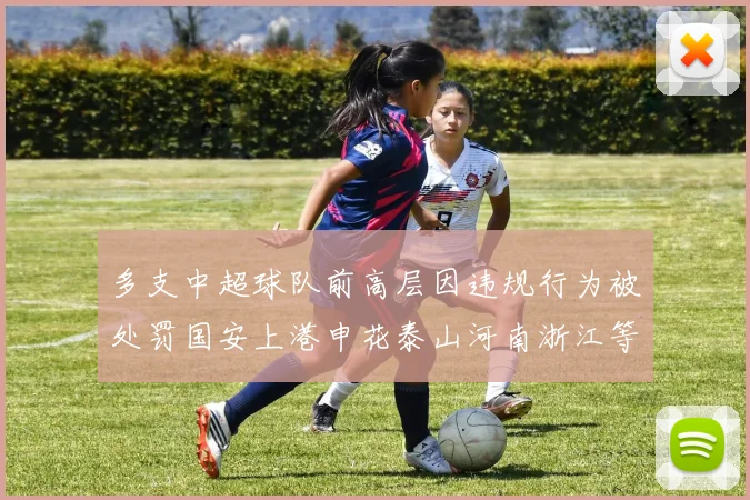 多支中超球队前高层因违规行为被处罚国安上港申花泰山河南浙江等队受影响